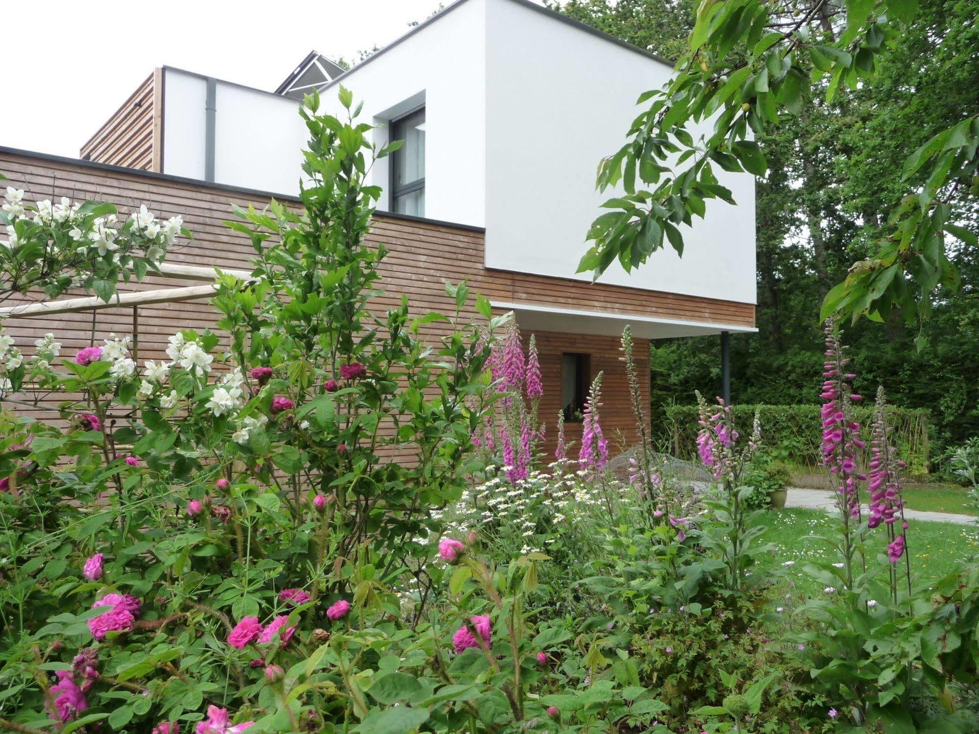 Bed and Breakfast Le Jardin Aux Oiseaux Férel Esterno foto