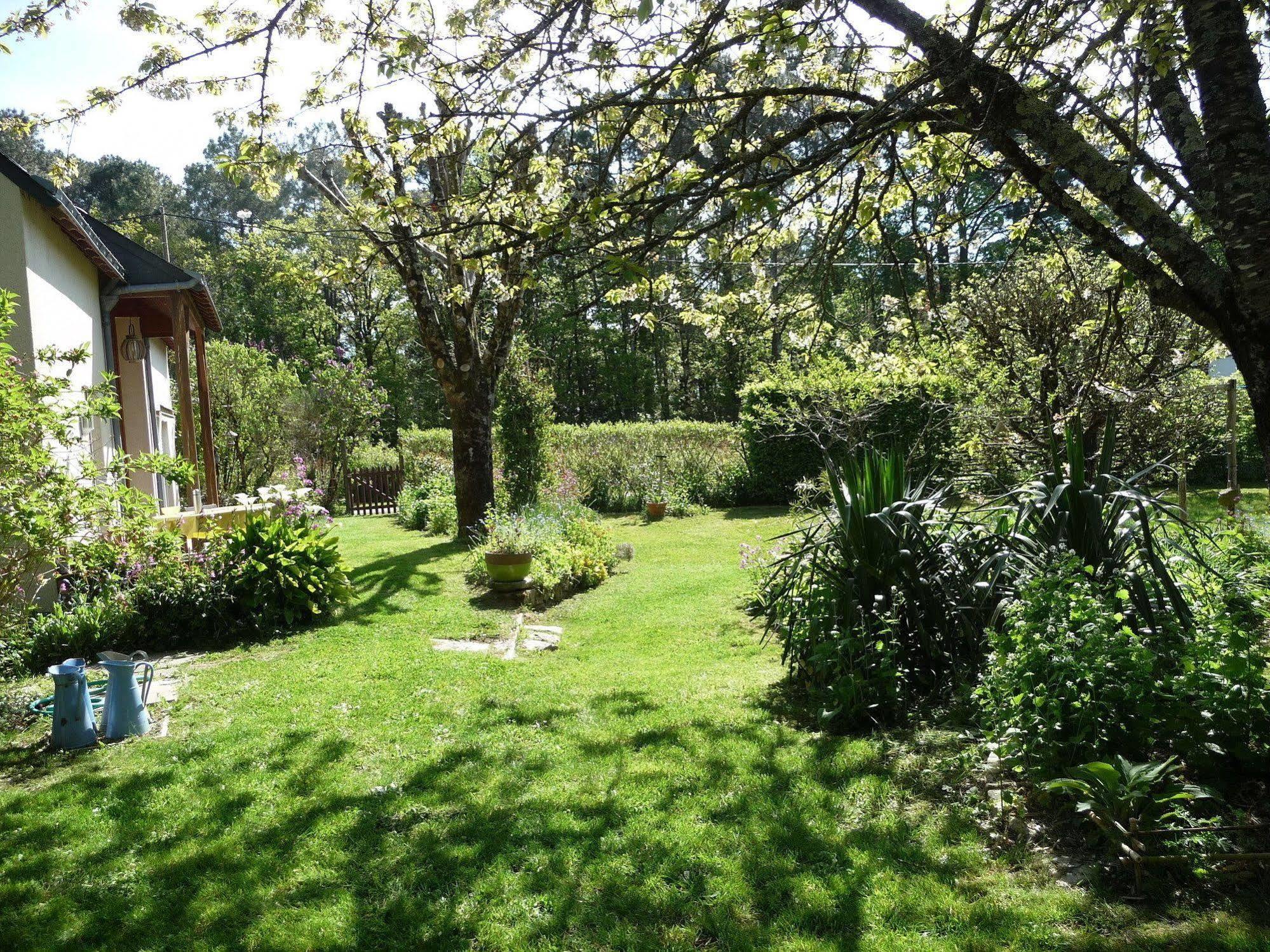 Bed and Breakfast Le Jardin Aux Oiseaux Férel Esterno foto