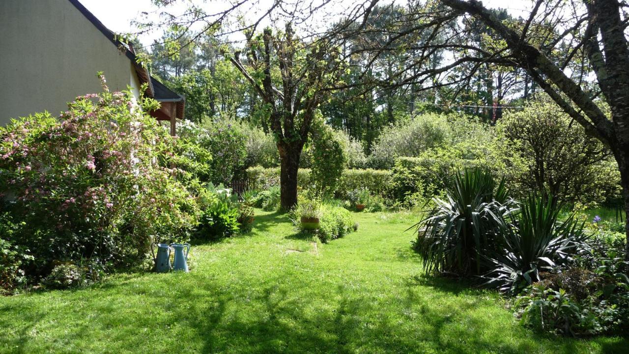 Bed and Breakfast Le Jardin Aux Oiseaux Férel Esterno foto